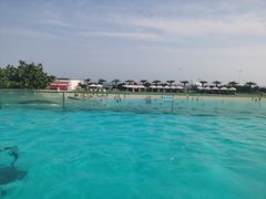 -秦皇岛乐岛海洋王国