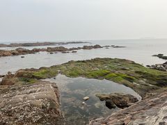 -八大关景区