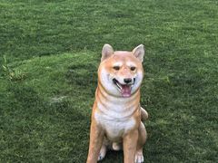 -诺亚财富中心