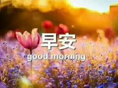 -新港湾大酒店-西餐厅