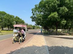 -武清南湖绿博园
