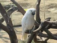 -上海大自然野生昆虫馆(东方明珠·爬宠昆虫探索中心)