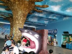 -芜湖新华联大白鲸海洋公园