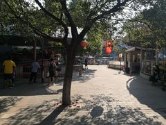 -丰台花园