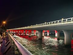 -演武大桥观景平台