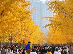 -辽宁大学(崇山校区)