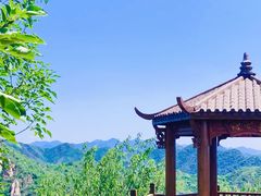 -大岭沟猕猴桃谷风景区