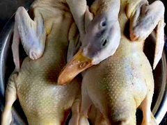 -东寨港红树林旅游区