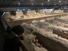 -秦始皇帝陵博物院-丽山园