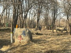 -北京野生动物园