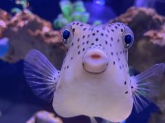 -太平洋海底世界