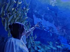 -华夏文旅海洋公园