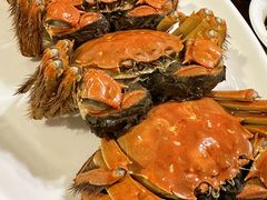 -乔家栅(襄阳南路店)