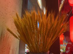 -鸽子窝(青塔店)