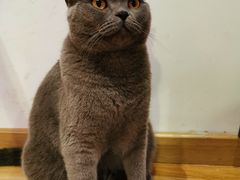 -壹人壹像工作室(购物公园店)