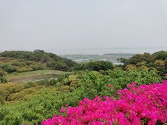 -广州莲花山旅游区