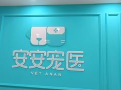 -安安宠医宠物医院·异宠·犬猫内科(岳阳分院)