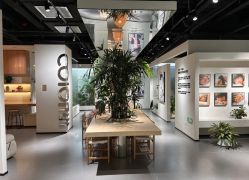 -七色田儿童摄影(静安店)