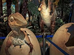 -湖南省地质博物馆