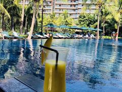 -三亚湾海居铂尔曼度假酒店