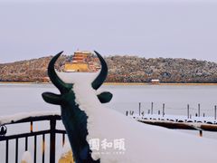 -颐和园