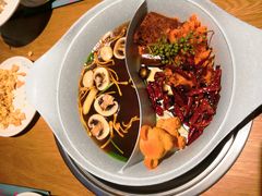 -青瓷火锅料理(西单大悦城店)