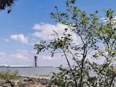 -上海吴淞炮台湾国家湿地公园