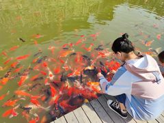 -白鹿原影视城