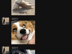 -洛阳市隋唐城遗址植物园