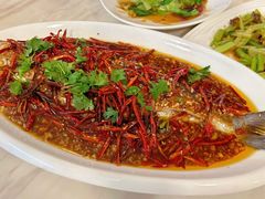 -东海森林温泉度假酒店