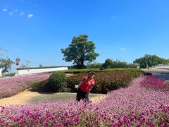 -厦门园林博览苑
