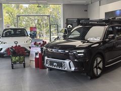 -上海浦东smart汽车全功能店(金桥店)