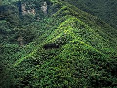 -藏龙百瀑风景区