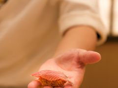 -鮨政·板前Omakase(港汇恒隆广场店)