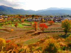 -塔川景区