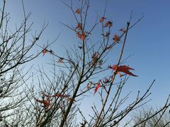 -艾溪湖湿地公园