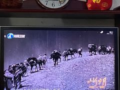 -河北医科大学第四医院(本部)