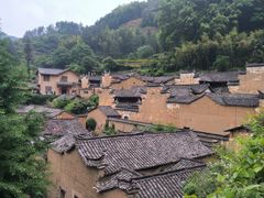 -杨家堂村