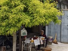 -大岭沟猕猴桃谷风景区