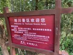 -塔川景区