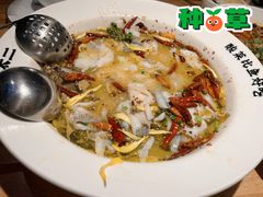 老坛子酸菜鱼-新太二·鲜料川菜(智慧城广百店)