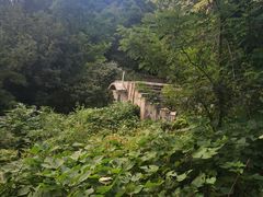 -北京鹫峰国家森林公园