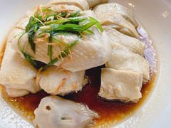-山东老家(科韵分店)