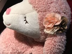 -海底捞火锅(泉城路店)