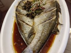 -闫水饺大酒楼·北京老闫靓马饺子馆