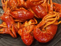 -虾小龙老长沙龙虾馆(坡子街店)