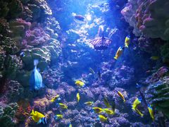 -海合安青岛极地海洋公园