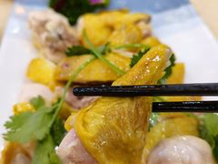 -墨脱石锅椰子鸡•香草鸭•东山羊(大东海店)