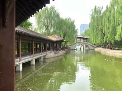-团结湖公园