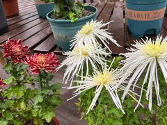 -共青国家森林公园-售票处